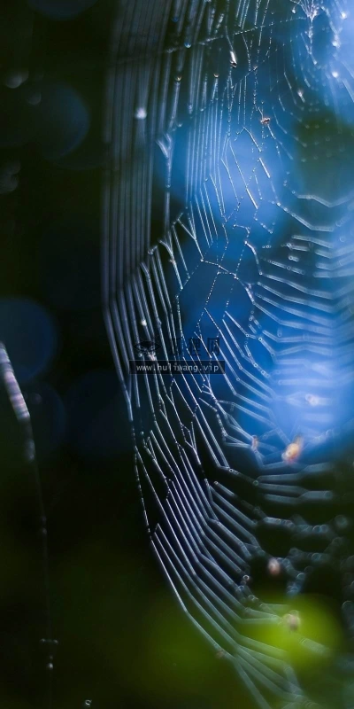【25156】创意壁纸  2K 高清壁纸2560_1600@青蛙壁纸-笨猫小站
