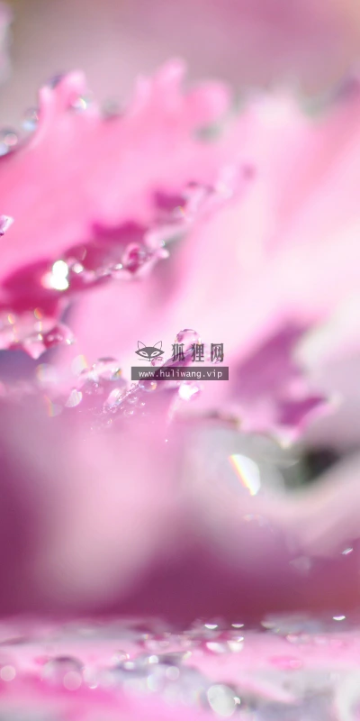 【25160】创意壁纸 2K 高清壁纸2560_1600@青蛙壁纸-笨猫小站