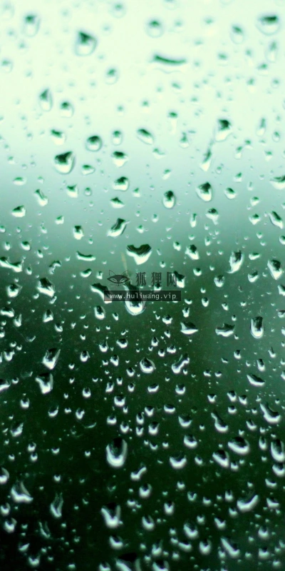 【25171】创意壁纸  2K 高清壁纸2560_1600@青蛙壁纸-笨猫小站