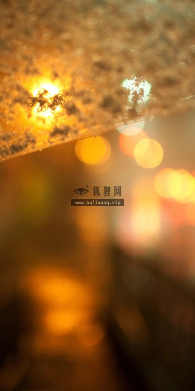 【25179】创意壁纸  2K 高清壁纸2560_1600@青蛙壁纸-笨猫小站