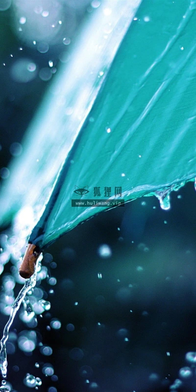【25181】创意壁纸  2K 高清壁纸2560_1600@青蛙壁纸-笨猫小站