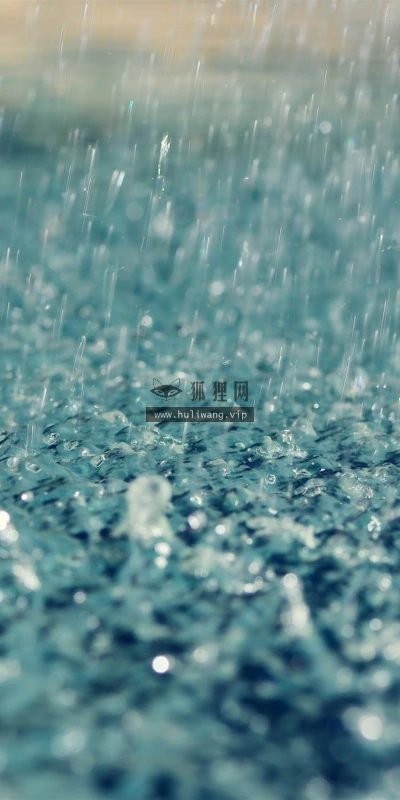 【25184】创意壁纸  2K 高清壁纸2560_1600@青蛙壁纸-笨猫小站