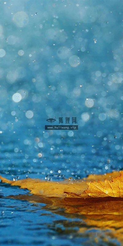 【25187】创意壁纸  2K 高清壁纸2560_1600@青蛙壁纸-笨猫小站
