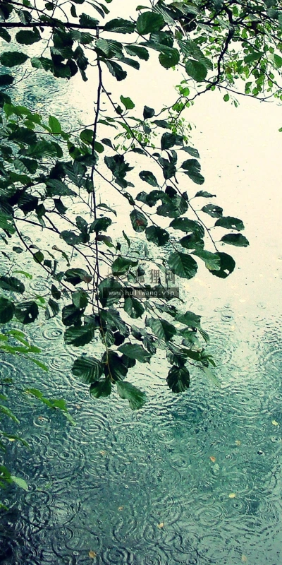 【25190】创意壁纸  2K 高清壁纸2560_1600@青蛙壁纸-笨猫小站