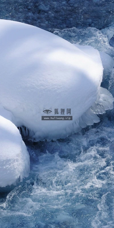 【25193】创意壁纸  2K 高清壁纸2560_1600@青蛙壁纸-笨猫小站