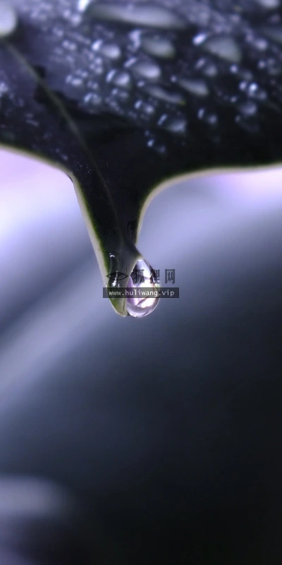 【25194】创意壁纸  2K 高清壁纸2560_1600@青蛙壁纸-笨猫小站