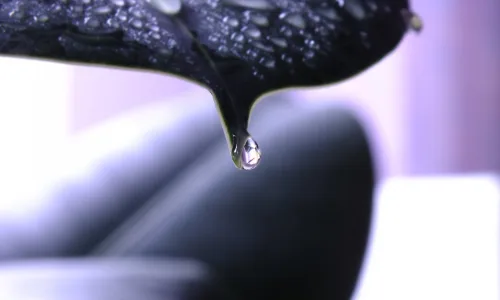 【25194】创意壁纸  2K 高清壁纸2560_1600@青蛙壁纸-笨猫小站