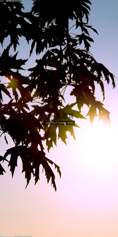 【25195】创意壁纸  2K 高清壁纸2560_1600@青蛙壁纸-笨猫小站