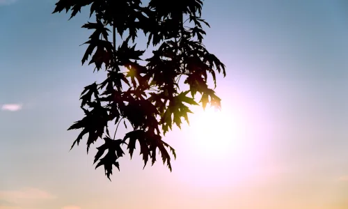 【25195】创意壁纸  2K 高清壁纸2560_1600@青蛙壁纸-笨猫小站