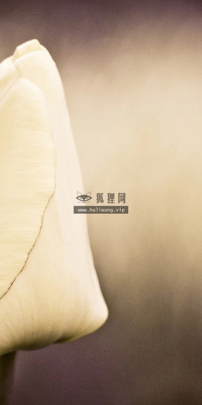 【25196】创意壁纸  2K 高清壁纸2560_1600@青蛙壁纸-笨猫小站