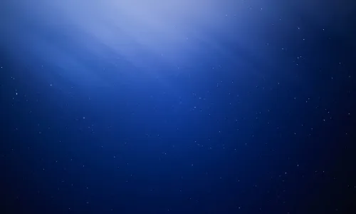 【25197】创意壁纸  2K 高清壁纸2560_1600@青蛙壁纸-笨猫小站