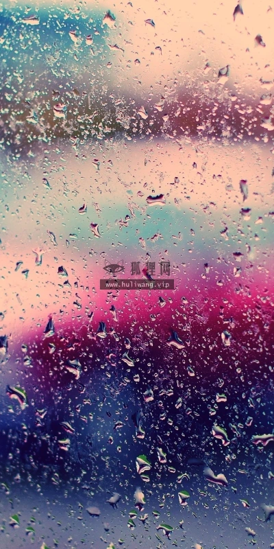 【25211】创意壁纸  2K 高清壁纸2560_1600@青蛙壁纸-笨猫小站