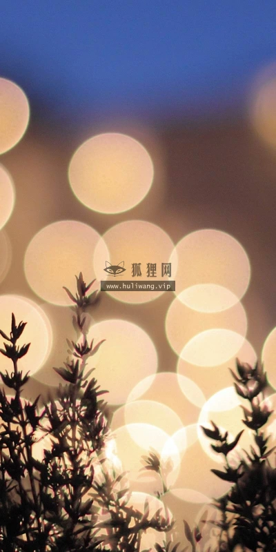 【25228】创意壁纸  2K 高清壁纸2560_1600@青蛙壁纸-笨猫小站