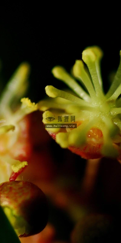 【25230】创意壁纸  2K 高清壁纸2560_1600@青蛙壁纸-笨猫小站