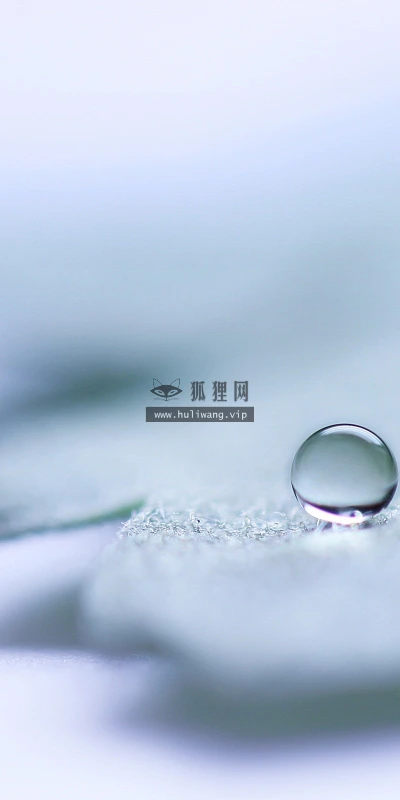 【25242】创意壁纸  2K 高清壁纸2560_1600@青蛙壁纸-笨猫小站