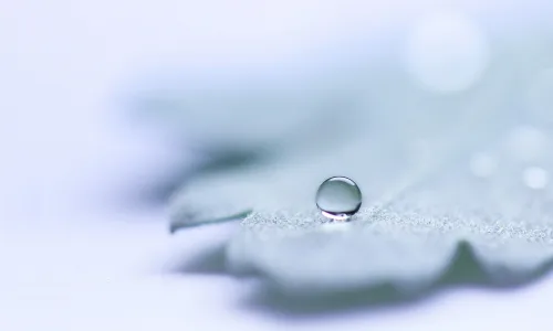 【25242】创意壁纸  2K 高清壁纸2560_1600@青蛙壁纸-笨猫小站