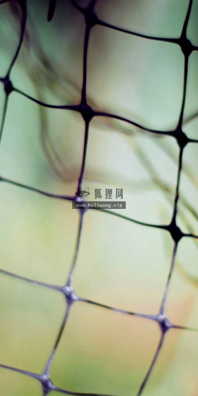 【25245】创意壁纸  2K 高清壁纸2560_1600@青蛙壁纸-笨猫小站