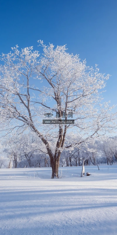 【25392】风景壁纸  4K 超清壁纸5120_3200@青蛙壁纸-笨猫小站