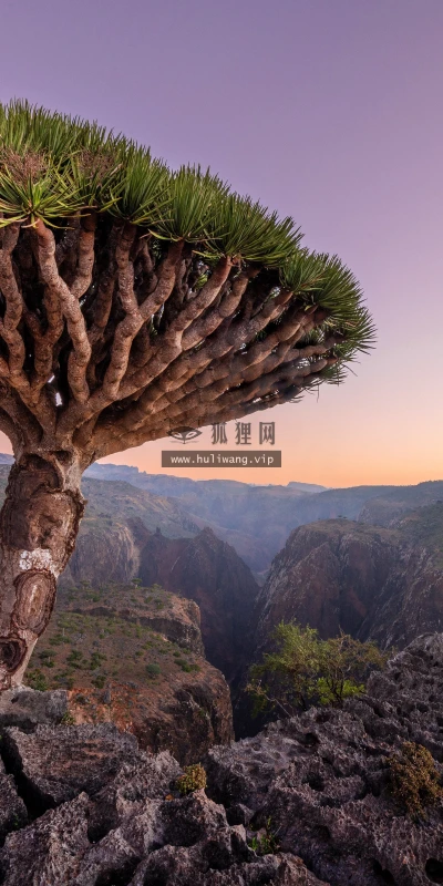 【25407】风景壁纸  4K 超清壁纸5120_3200@青蛙壁纸-笨猫小站
