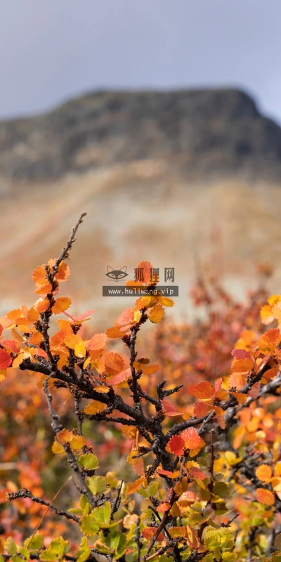 【25410】风景壁纸  4K 超清壁纸5120_3200@青蛙壁纸-笨猫小站