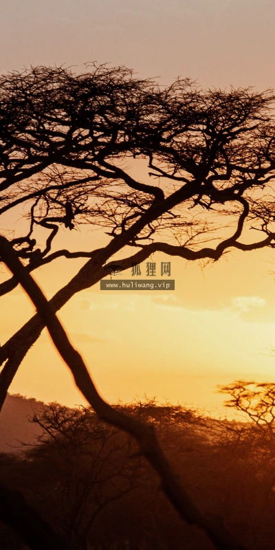 【25463】风景壁纸  4K 超清壁纸5120_3200@青蛙壁纸-笨猫小站
