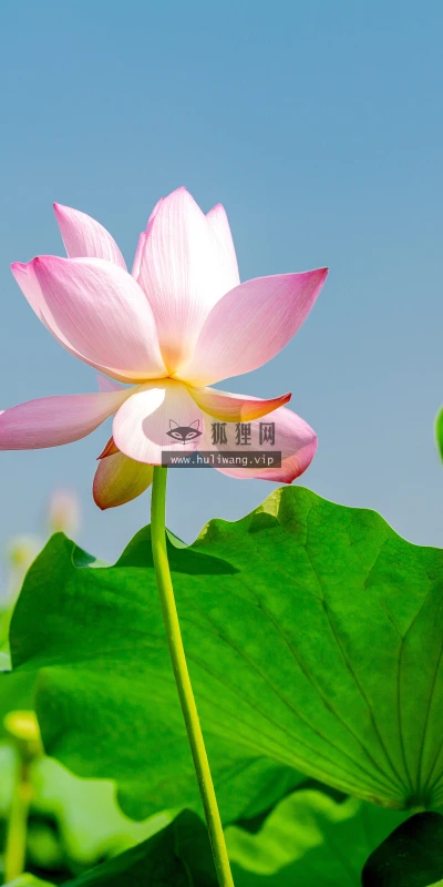 【25491】风景壁纸  4K 超清壁纸5120_3200@青蛙壁纸-笨猫小站