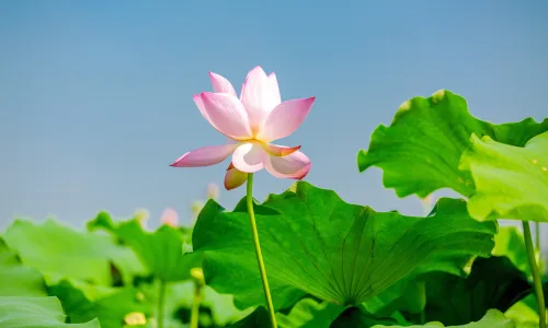 【25491】风景壁纸  4K 超清壁纸5120_3200@青蛙壁纸-笨猫小站