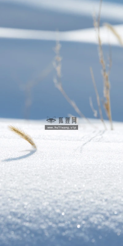 【25547】风景壁纸  4K 超清壁纸3840_2400@青蛙壁纸-笨猫小站