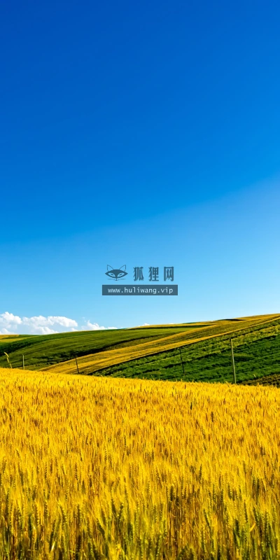 【25595】风景壁纸  4K 超清壁纸3840_2400@青蛙壁纸-笨猫小站