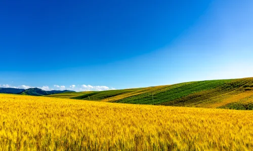 【25595】风景壁纸  4K 超清壁纸3840_2400@青蛙壁纸-笨猫小站