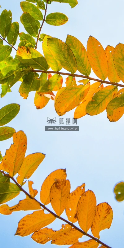 【25608】风景壁纸  4K 超清壁纸3840_2400@青蛙壁纸-笨猫小站