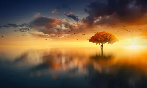 【25642】风景壁纸  4K 超清壁纸3840_2400@青蛙壁纸-笨猫小站