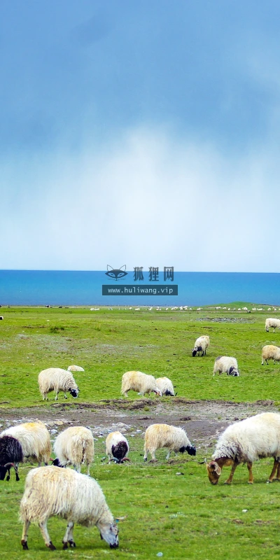 【25677】风景壁纸  4K 超清壁纸3840_2400@青蛙壁纸-笨猫小站