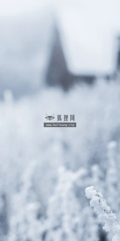【25699】风景壁纸  4K 超清壁纸3840_2400@青蛙壁纸-笨猫小站