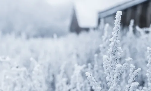 【25699】风景壁纸  4K 超清壁纸3840_2400@青蛙壁纸-笨猫小站
