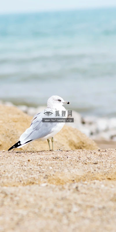 【25859】风景壁纸  4K 超清壁纸3840_2400@青蛙壁纸-笨猫小站