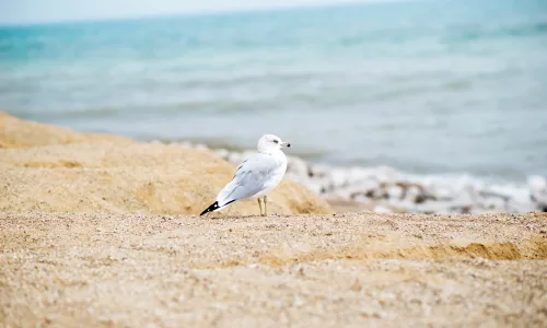 【25859】风景壁纸  4K 超清壁纸3840_2400@青蛙壁纸-笨猫小站