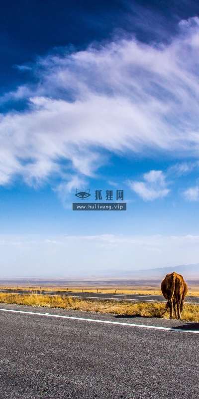 【25879】风景壁纸  4K 超清壁纸3840_2400@青蛙壁纸-笨猫小站