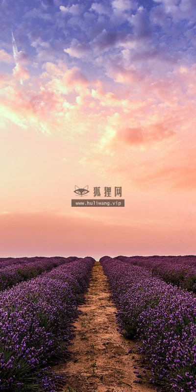 【25901】风景壁纸  4K 超清壁纸3840_2400@青蛙壁纸-笨猫小站
