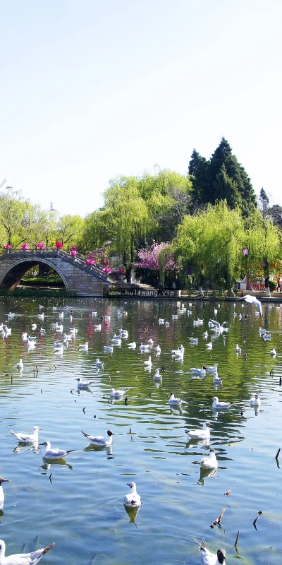 【25969】风景壁纸  4K 超清壁纸3840_2400@青蛙壁纸-笨猫小站