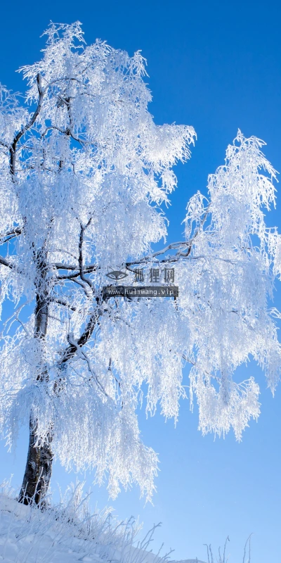 【26027】风景壁纸  4K 超清壁纸3840_2400@青蛙壁纸-笨猫小站