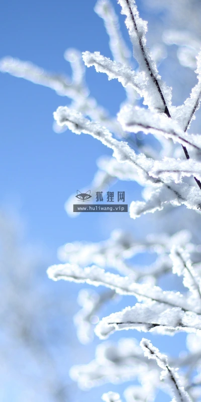 【26048】风景壁纸  4K 超清壁纸3840_2400@青蛙壁纸-笨猫小站