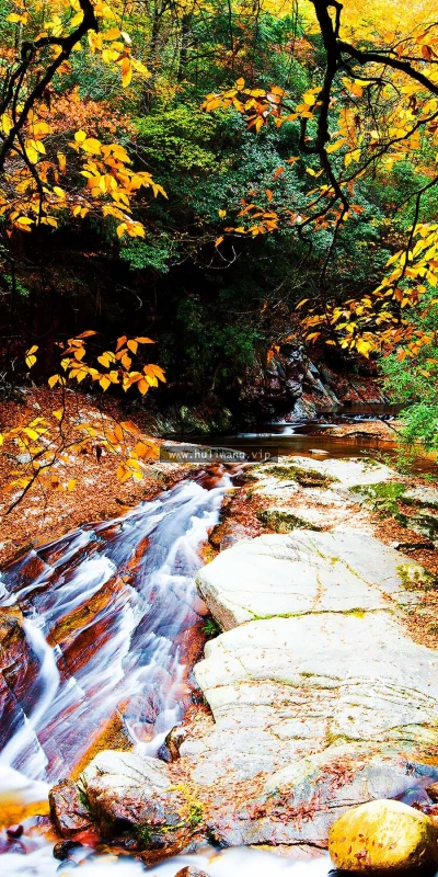 【26096】风景壁纸  2K 高清壁纸2880_1800@青蛙壁纸-笨猫小站