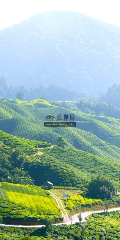 【26159】风景壁纸  2K 高清壁纸2880_1800@青蛙壁纸-笨猫小站