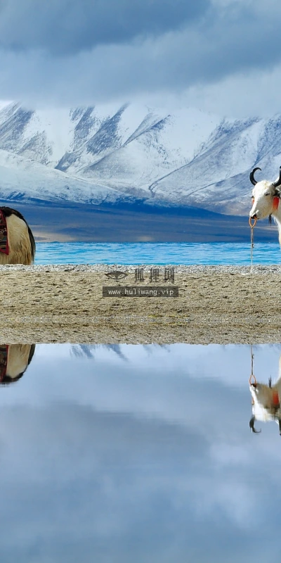 【26164】风景壁纸  2K 高清壁纸2880_1800@青蛙壁纸-笨猫小站